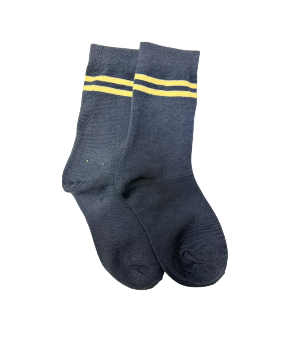 New Summer Socks (Gray)